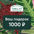 Подарочная карта Helan